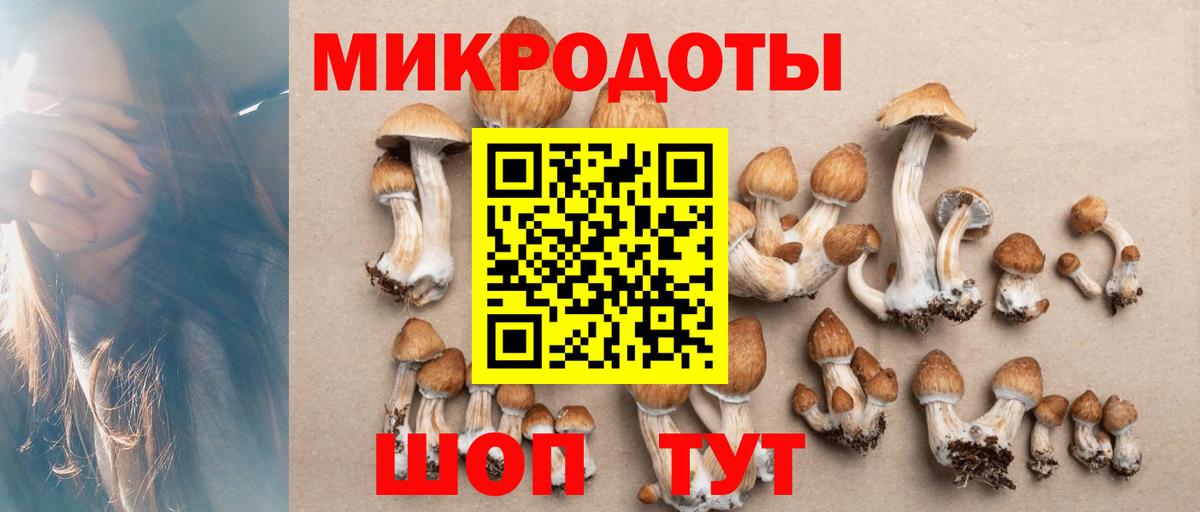 Псилоцибиновые грибы Psilocybe  Вход с VPN  Менделеевск  Галлюциногенные грибы прущие грибы 
